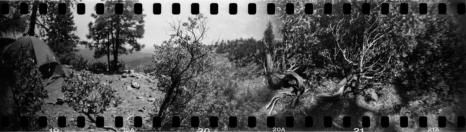 Kevin Dooley maakte deze lomography-foto met een analoge camera die ook de 'sprockets’ van de film belichtte.