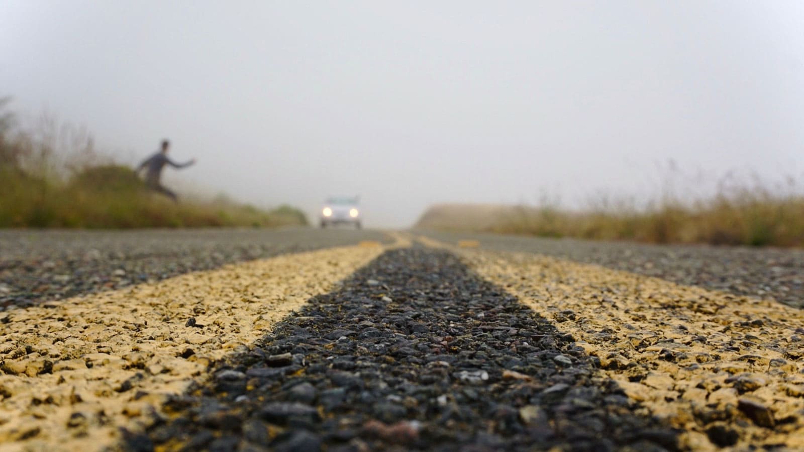 Weg in kikkerperspectief