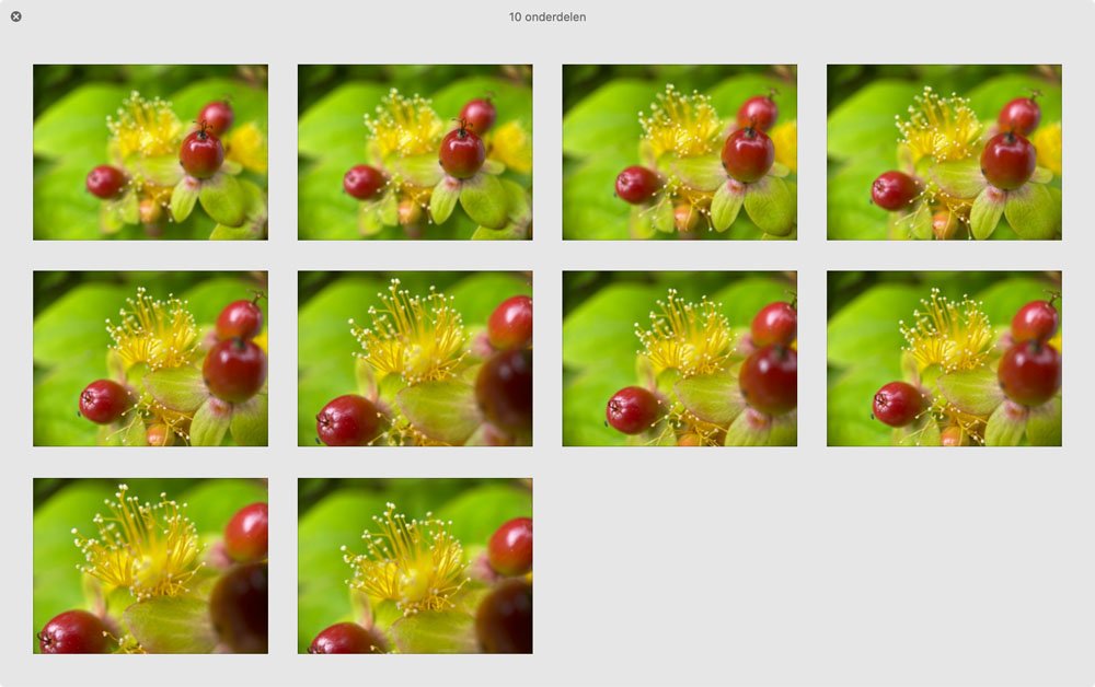 De bronbestanden voor focus stacking