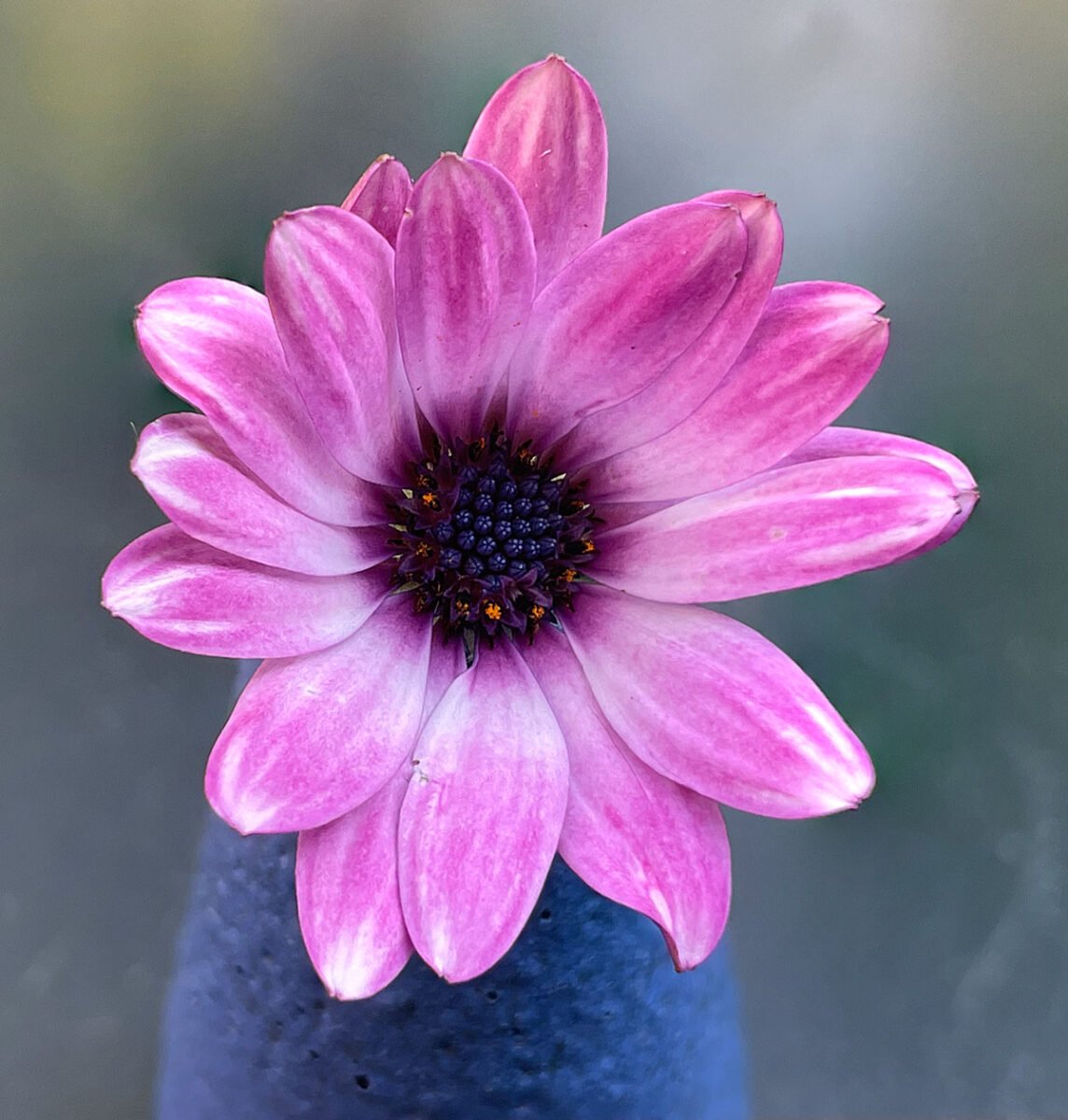 Samengestelde foto met focus stacking in Photoshop