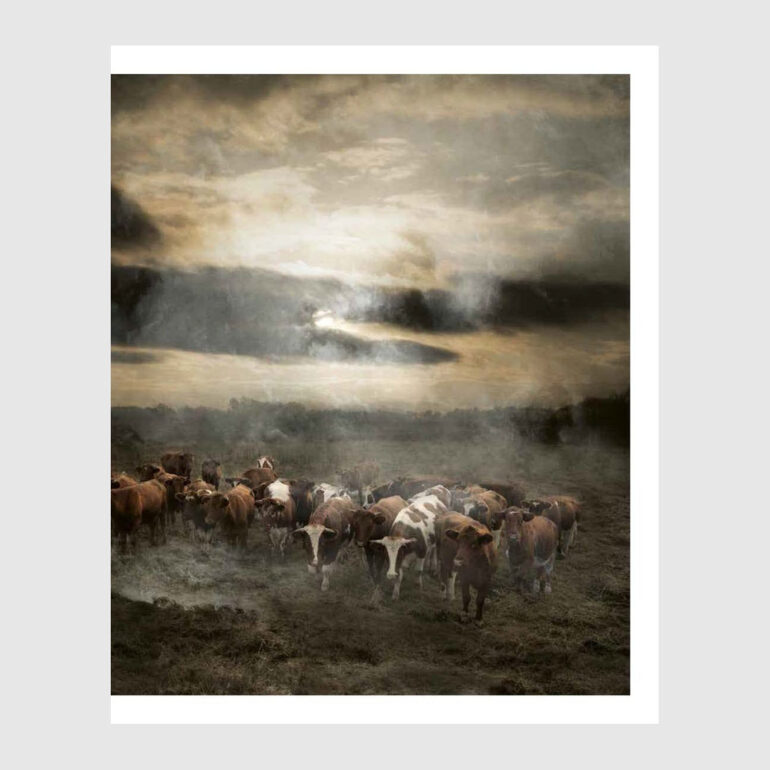 boek Landscape-Photography van Saskia Boelsums