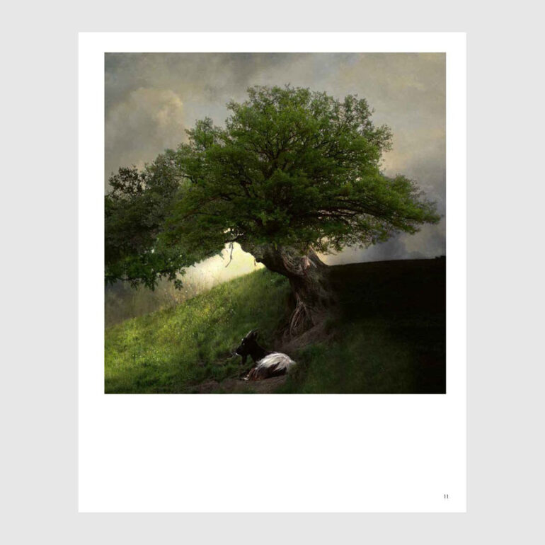 Landscape Photography - Saskia Boelsums - Afbeelding 3