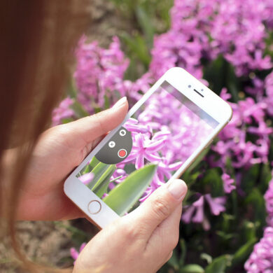Workshop macrofotografie met je smartphone in de Oude Hortus in Utrecht