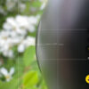 Macrofoto smartphone wisselt steeds van lens