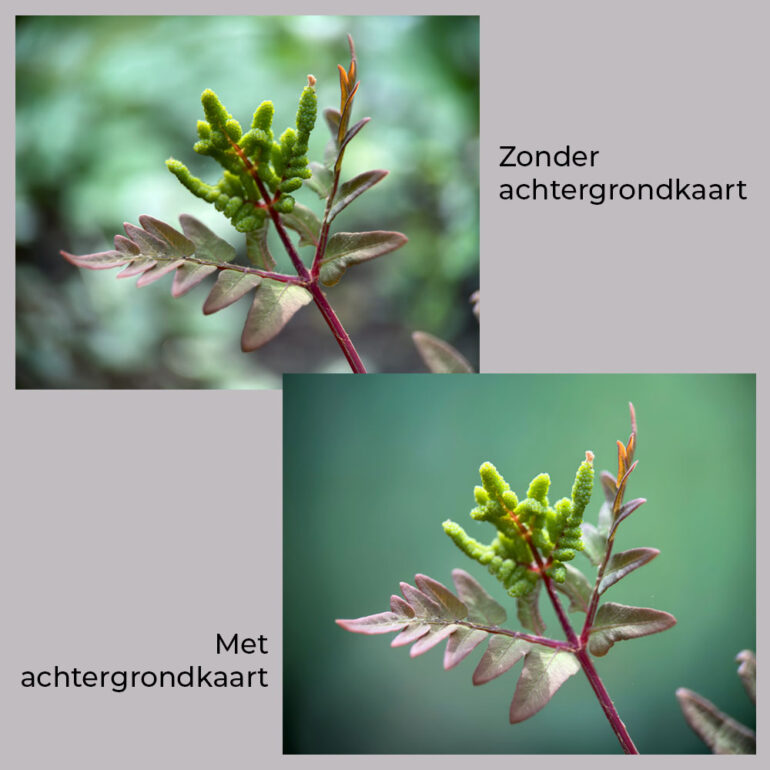 Met en zonder achtergrondkaart