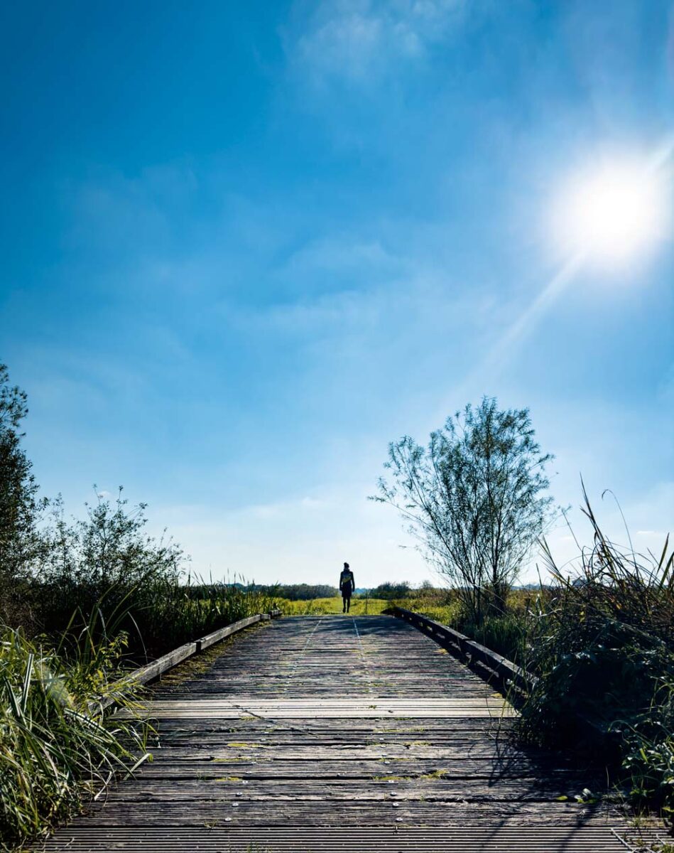 Landschapsfotografie in Het Bossche Broek