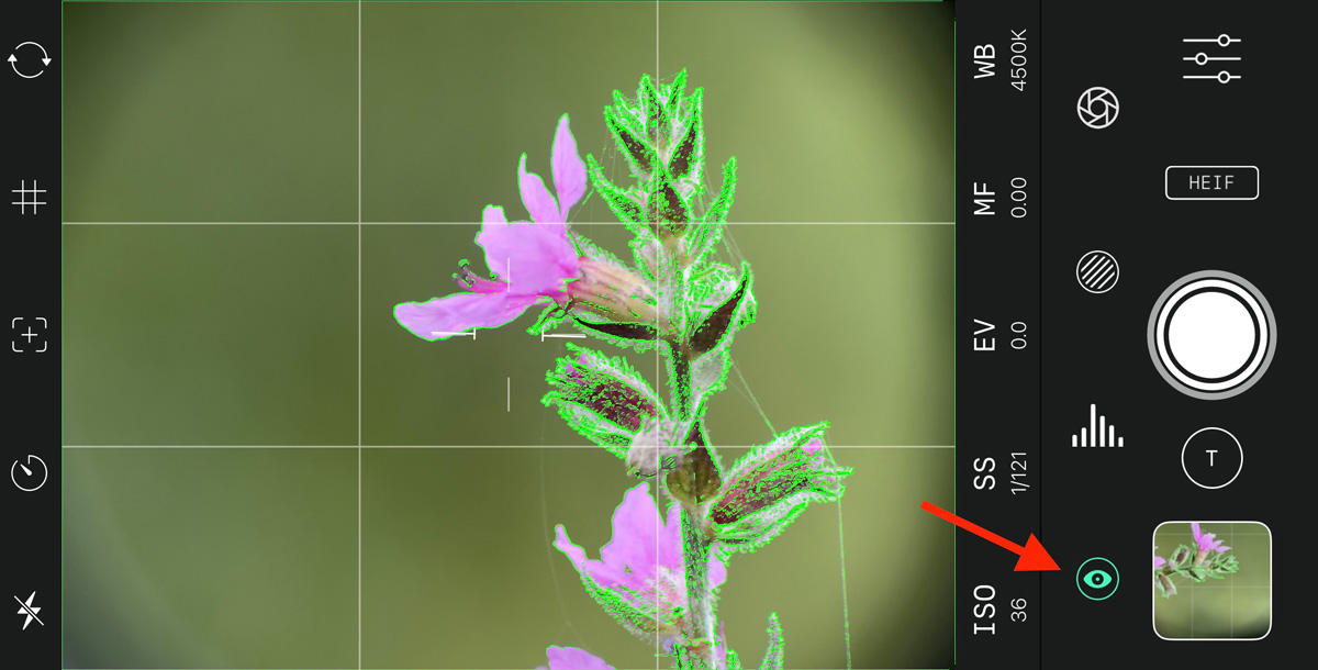 Focus peaking in de Reeflex-app