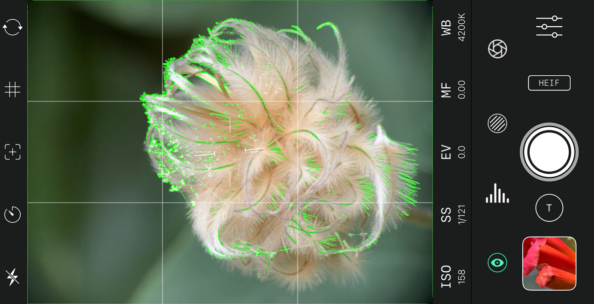 Focus peaking in de Reeflex Pro Camera-app voor iPhone